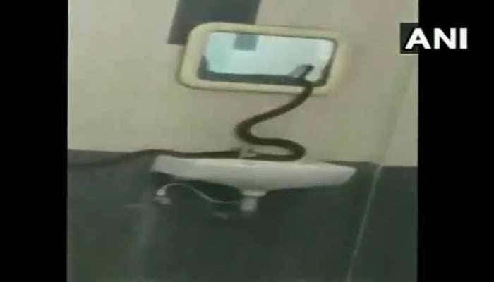 Snake found in bathroom of girls hostel in Coimbatore freaks students