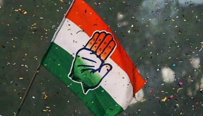 Congress sets up committees for better coordination between party and state government