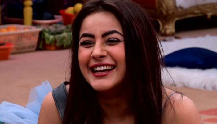 Kartik Aaryan shares pic of his portrait made by 'Bigg Boss 13' contestant Shehnaz Gill, calls it a 'masterpiece'