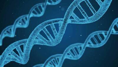 Deadly gene mutation leading to blood cancer identified by researchers