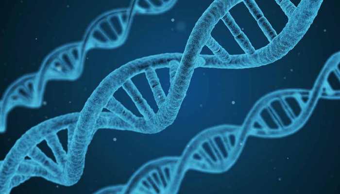 Deadly gene mutation leading to blood cancer identified by researchers Deadly gene mutation leading to blood cancer identified by researchers
