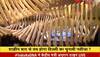 zee news excluive