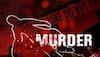 Bengaluru techie kills mother, stabs brother, arrested from Andaman and Nicobar Islands