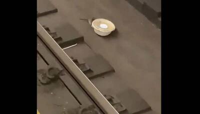 Rat hauls salad bowl along New York subway tracks, video goes viral, Twitterati lauds