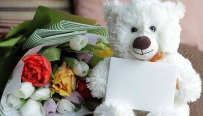 Teddy Day 2020: You can celebrate Valentine week with these gifts ideas