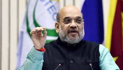 Hate speeches like 'goli maro', 'Indo-Pak match' may have resulted in BJP's defeat in Delhi Assembly election: Amit Shah