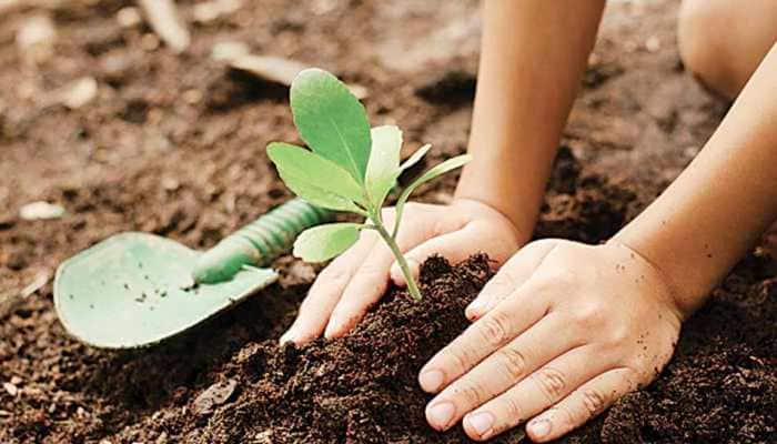 Bihar govt launches &#039;Pyaar ka Paudha&#039; campaign to encourage practice of planting trees