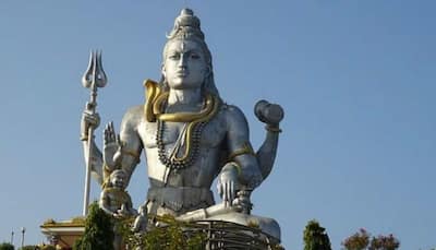 Maha Shivratri 2020: Devotees, you can consume these food items while observing fast