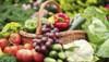 Eating fruits, yoghurt daily may lower stroke risk