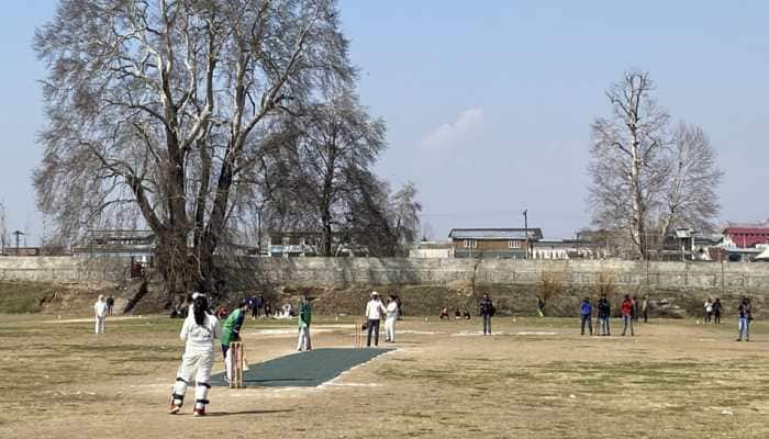 Women students playing cricket