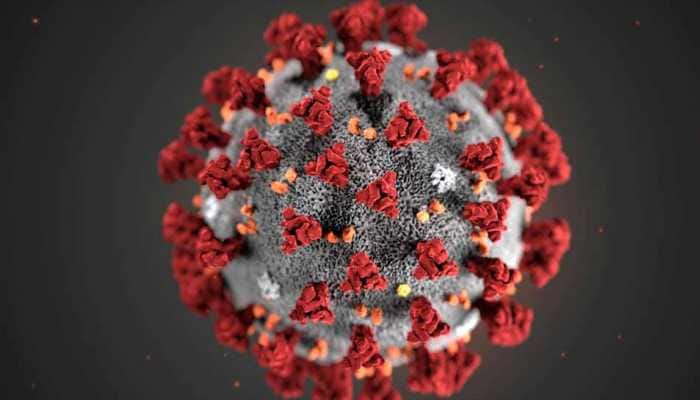 Scientists in China detect two main coronavirus strains affecting humans