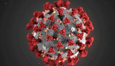 Scientists in China detect two main coronavirus strains affecting humans
