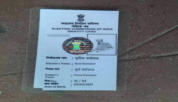 Murshidabad man issued voter ID card with dog&#039;s picture