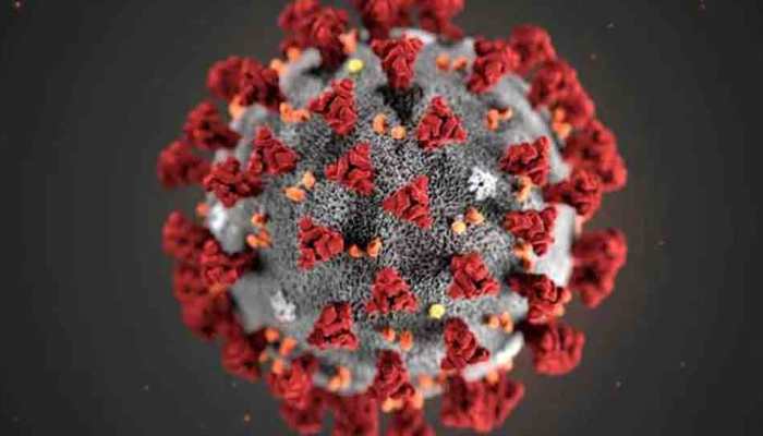 One more coronavirus case surfaces in Delhi; total number reaches to 31 in India