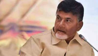 TDP to enter RS poll to expose YSRCP's double standards: Chandrababu Naidu