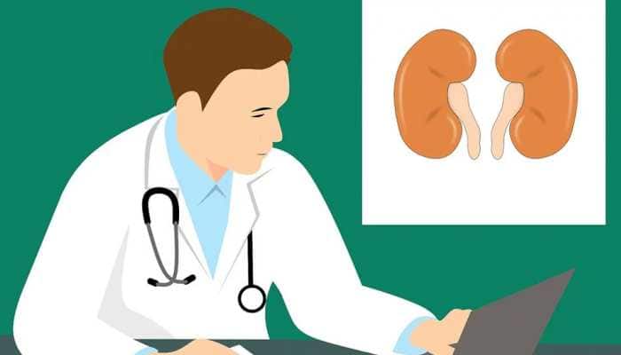 World Kidney Day 2020: Take care of your kidney's health 