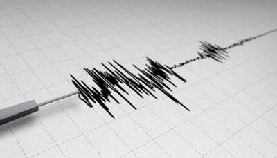 Quake measuring 5.9 magnitude hits Tibet near Nepal border