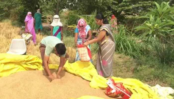 Nashik farmer donates wheat produced from 1 acre land to people suffering from coronavirus COVID-19 outbreak