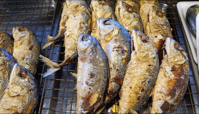 Bengal government launches app to sell fish online to tackle rising prices amid coronavirus COVID-19 lockdown