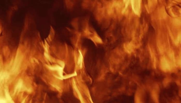 Fire erupts in forest near Srisailam temple in Andhra Pradesh