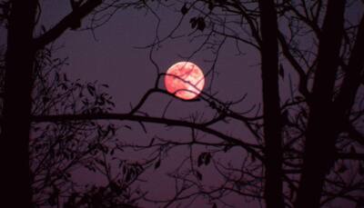 Super Pink Moon on April 8: What is it and when to watch