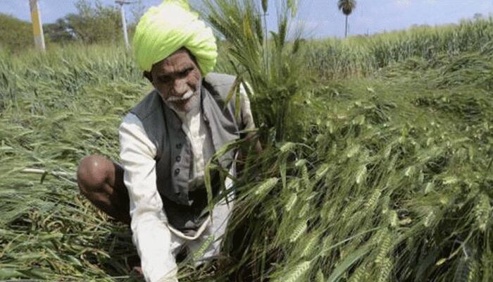 Over 200 Gujarat farmers give Rs 2,000 each to PM CARES fund