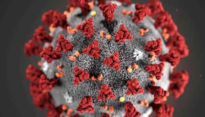 Over 2.25 million coronavirus cases registered worldwide