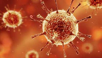 Plasma therapy helps Delhi's critical coronavirus COVID-19 patient recover