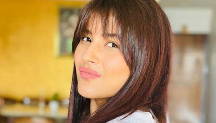 'Bigg Boss 13' fame Shehnaaz Gill's TikTok warning to China will make you laugh out loud - Watch