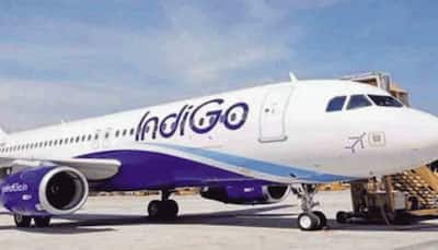 IndiGo rolls back pay cut in April salary of employees; here's what other airlines did 
