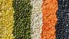NAFED to distribute about 5.88 LMT pulses to about 20 crore NFSA households