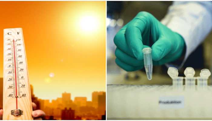 Lower COVID-19 cases in hotter regions, reveals IIT-Madras study