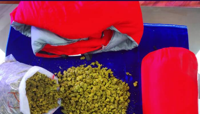 From US to Andhra via Foreign Post; 1.7kg cannabis worth 9 lakhs seized from sleeping bags  
