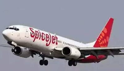 SpiceJet pilots to not get salaries for April, May