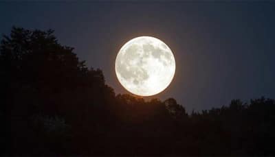 Super Flower Moon 2020: Here's how skywatchers can enjoy live streaming, India timings