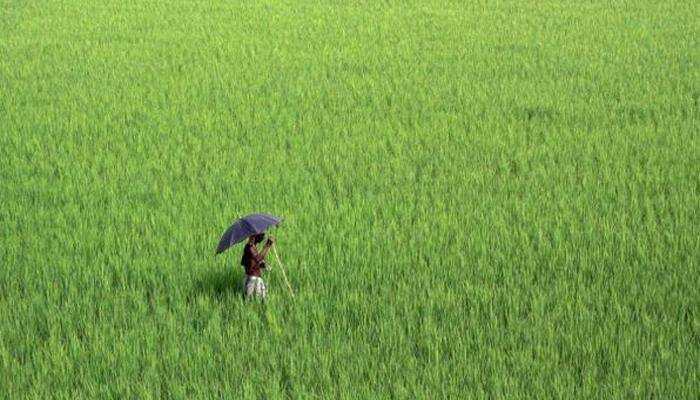 Agriculture marketing reforms to provide marketing choices to farmers: FM Sitharaman 