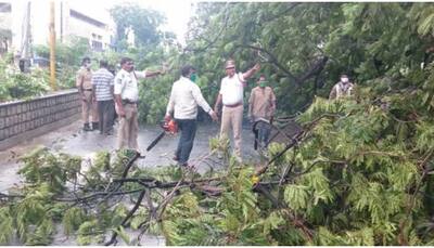 Heavy rains in Hyderabad leave city with flooded streets, uprooted trees