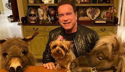 It's exciting: Arnold Schwarzenegger reacts to daughter Katherine's pregnancy