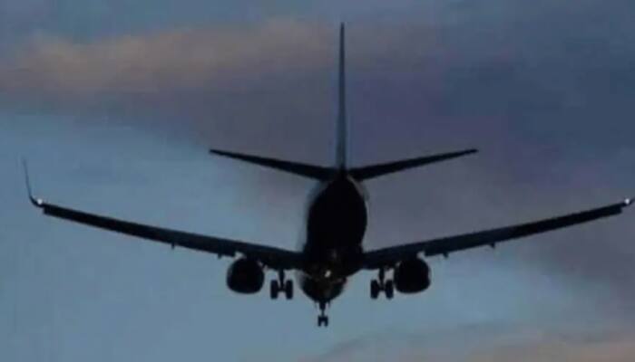 India's domestic flights rules: Only web check-in, no meals, early arrival and more