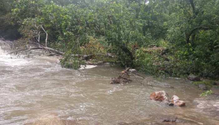 Heavy rains lash Kerala, several areas waterlogged in Thiruvananthapuram 