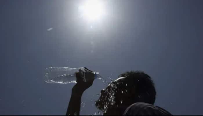 Delhi witnesses hottest day, records temperature of 43.7 degree Celsius