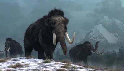 Skeletons of over 60 mammoths found under construction site of future Mexico airport