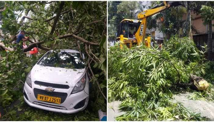 West Bengal calls for Indian Army&#039;s support to restore essential infrastructure, services after Cyclone Amphan havoc