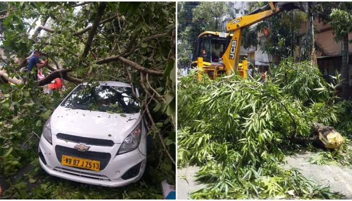 West Bengal calls for Indian Army's support to restore essential infrastructure, services after Cyclone Amphan havoc