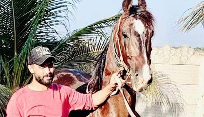Ravindra Jadeja's passion for horses comes to fore again amid lockdown Ravindra Jadeja's passion for horses comes to fore again amid lockdown