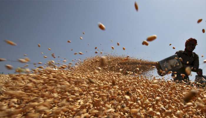 India’s wheat procurement surpasses last year&#039;s level of 34.1 mn tonnes despite COVID hurdles