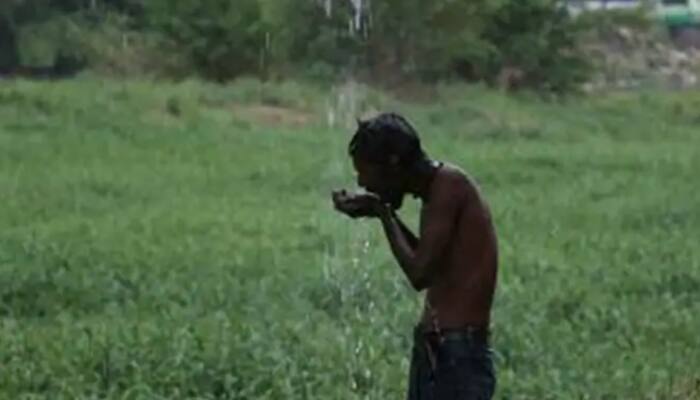 Relief from scorching heat coming, IMD predicts dust, thunderstorm on May 29-30
