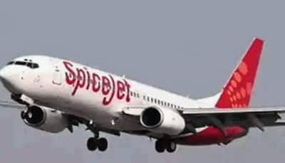 Andhra Pradesh resume domestic flight services from May 26