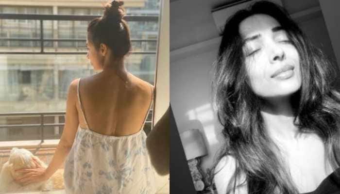 Bollywood news: Malaika Arora showcases her &#039;various stages of lockdown&#039; with candid pictures