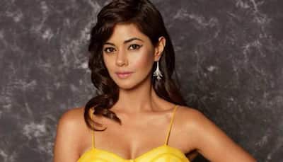 Hyderabad police book Jr NTR fans for abusing actress Meera Chopra